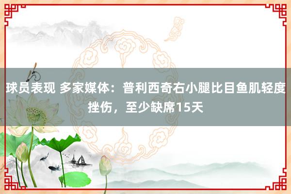 球员表现 多家媒体：普利西奇右小腿比目鱼肌轻度挫伤，至少缺席15天