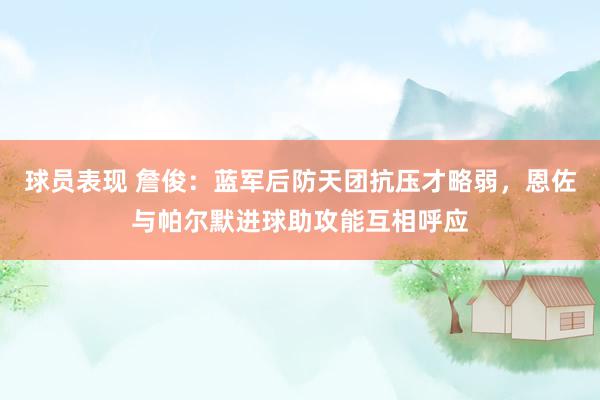 球员表现 詹俊：蓝军后防天团抗压才略弱，恩佐与帕尔默进球助攻能互相呼应