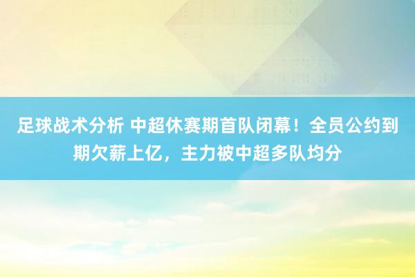 足球战术分析 中超休赛期首队闭幕！全员公约到期欠薪上亿，主力被中超多队均分